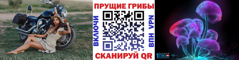 Купить где  Южноуральск  Псилоцибиновые грибы MAGIC MUSHROOMS 